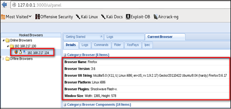 Fig 7 Victims browser information disclosed