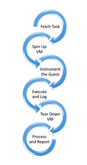 Working Process of Cuckoo